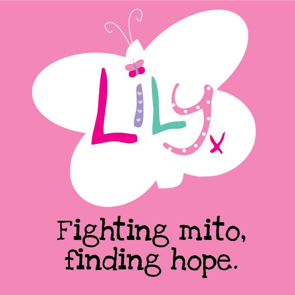 Lily Foundation